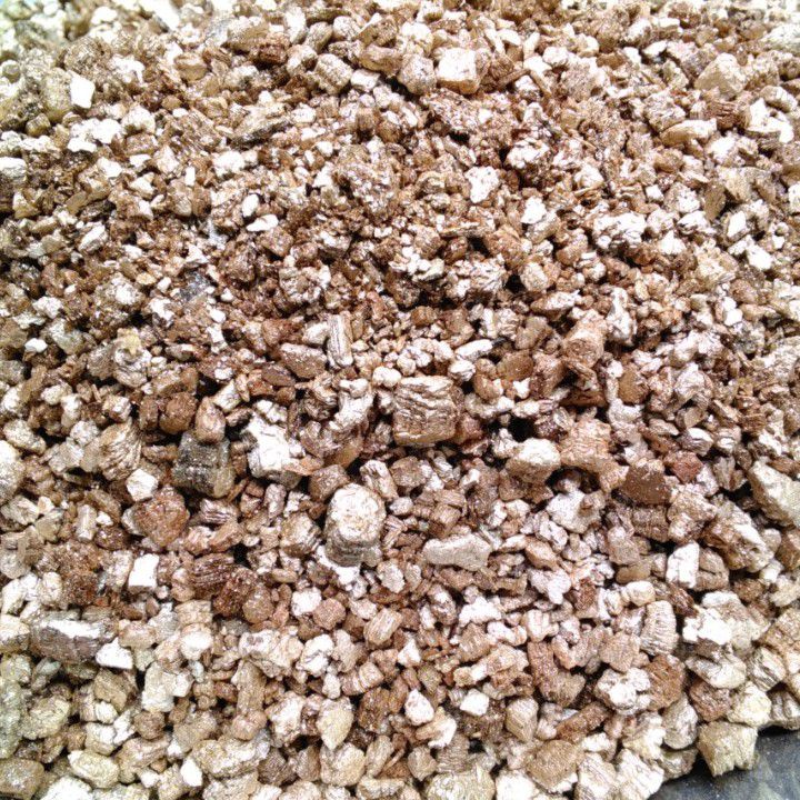 1kg Đá Vermiculite 2-4mm trồng sen đá