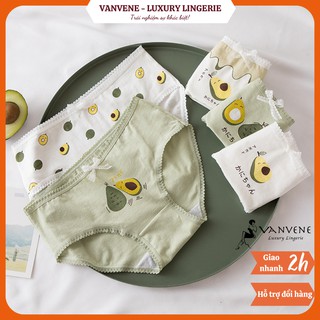 Combo 5 quần lót cotton mịn quả bơ kute co gĩan nhiều q866