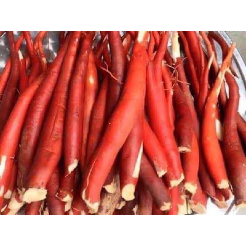 1KG SÂM CAU ĐỎ RỪNG TÂY BẮC