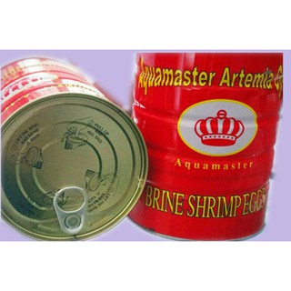 Trứng Artemia ấp nở