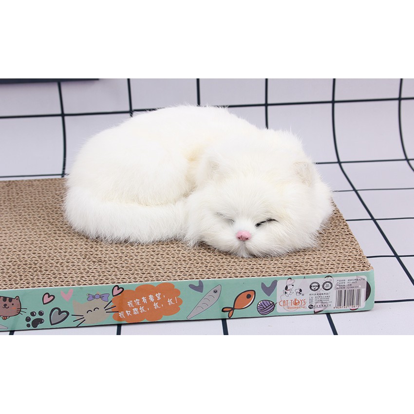 Tấm mèo cào bằng carton BoBo BO-4825