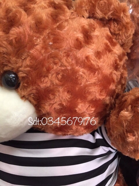 Gấu teddy khổ 80cm cao 65cm Sheen bedding hàng cao cấp vnxk(được chọn mẫu ảnh thật)
