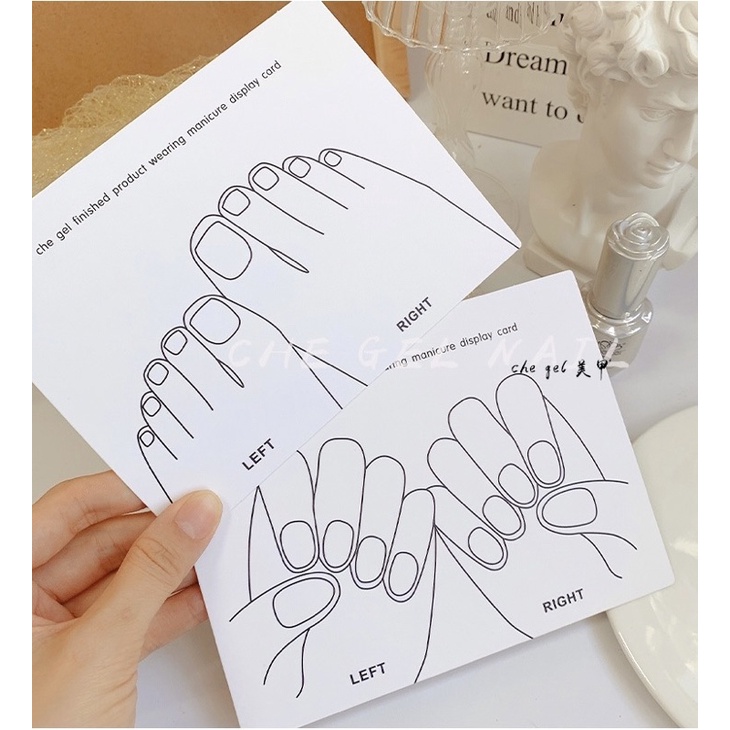 Nail Box Giấy Gắn Móng Up Giả Thiết Kế