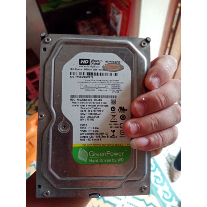 hdd 250gb wd