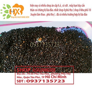 hạt giống tràm lai -500 gram
