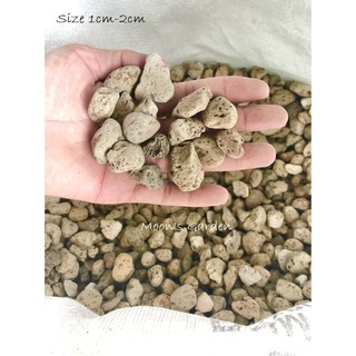 ĐÁ BỌT PUMICE INDONESIA - TRỒNG SEN ĐÁ