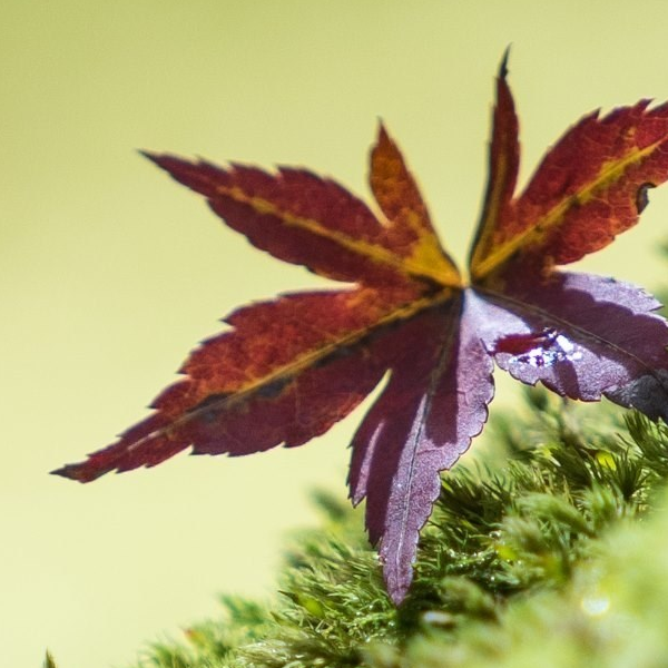 chăm sóc da 24h, Cửa hàng trực tuyến | BigBuy360 - bigbuy360.vn