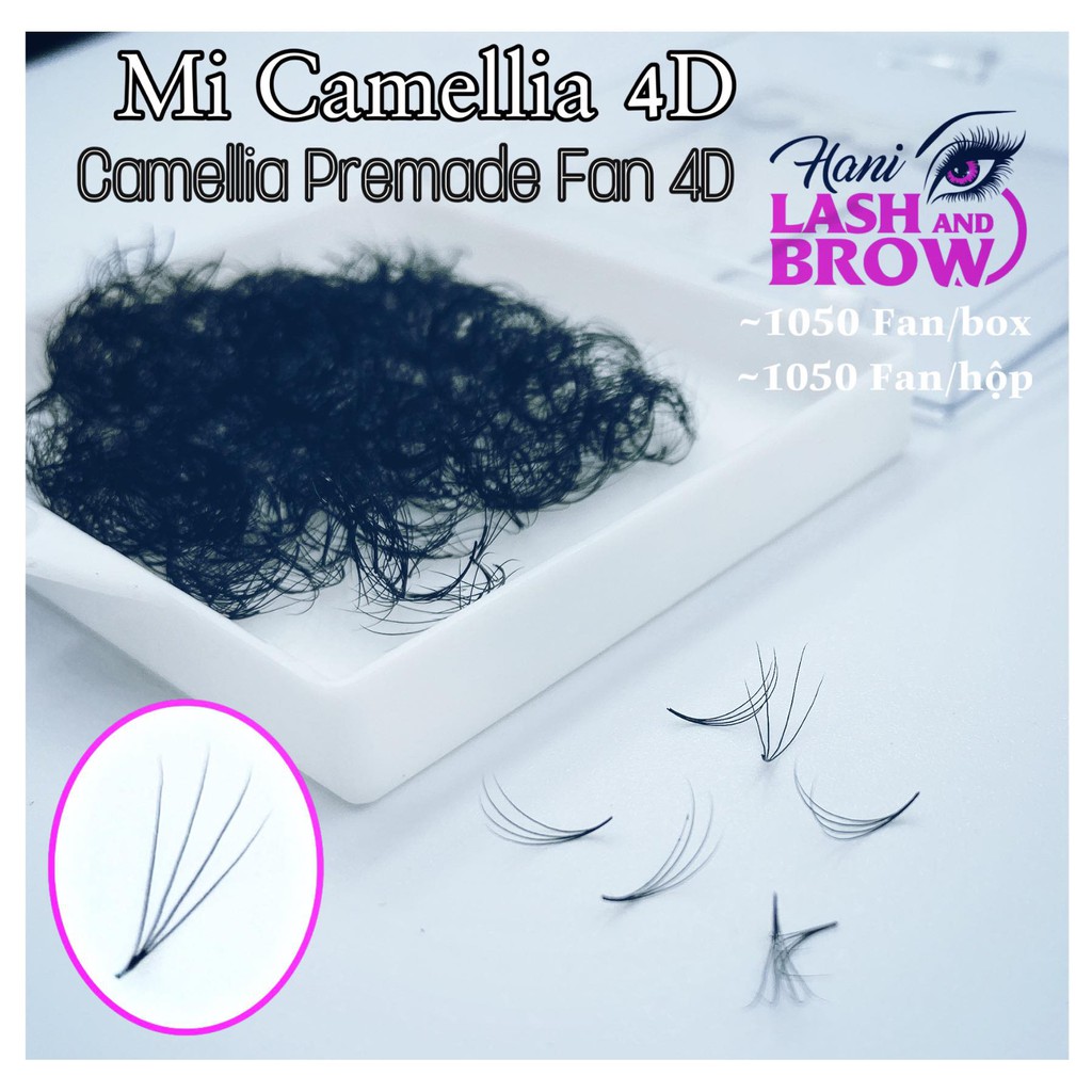 Lông Mi Sole Fan Tay Sẵn - Mi fan Camelia- 3D 4D 5D cong C D LMFT Hani chân keo nhỏ