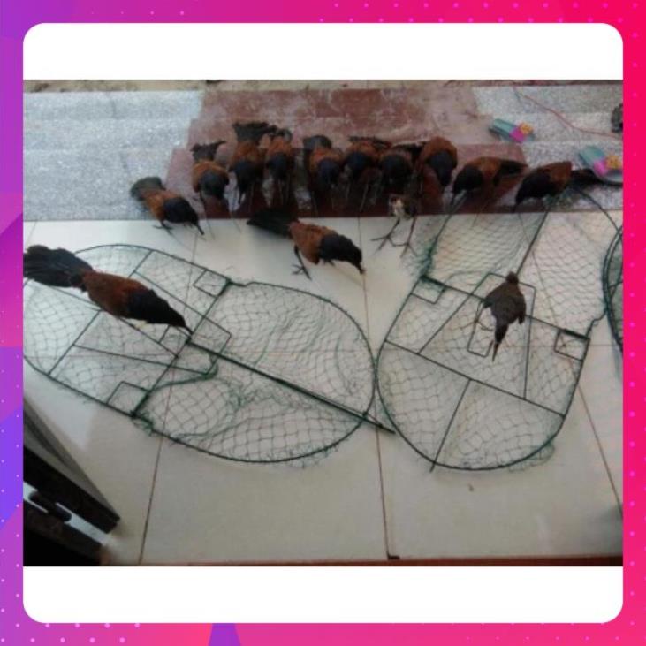 1 cái Mẹt bẫy chim bìm bịp giá siêu sốc không kèm bìm bịp giả