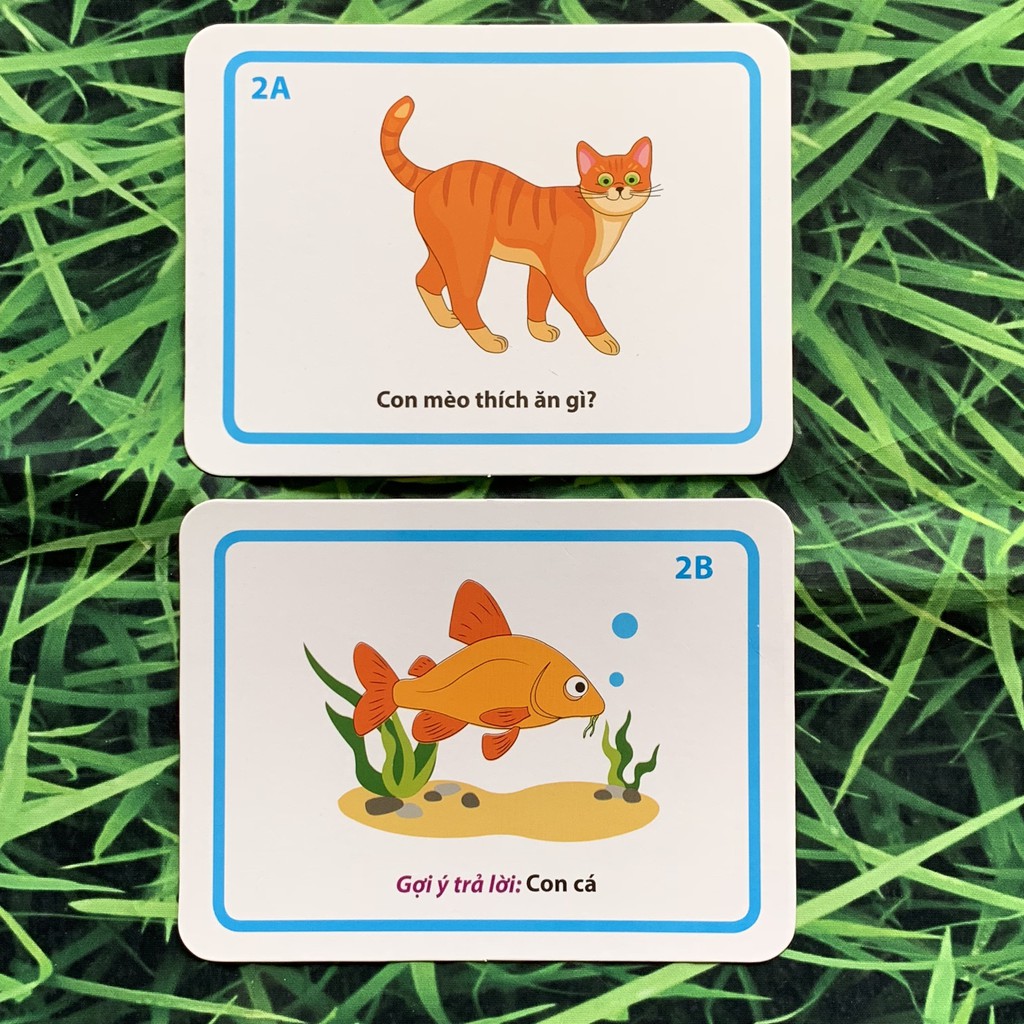 Bộ Thẻ Học Thông Minh Flashcards Giúp Trẻ Phát Triển Ngôn Ngữ Và Giao Tiếp