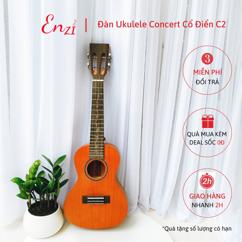 Đàn ukulele concert size 23 inch chất liệu gỗ giá rẻ chất lượng ENZI