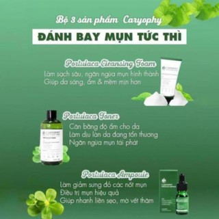 Serum Trị Mụn Thâm Dành Cho Da Nhờn Caryophy 1ml