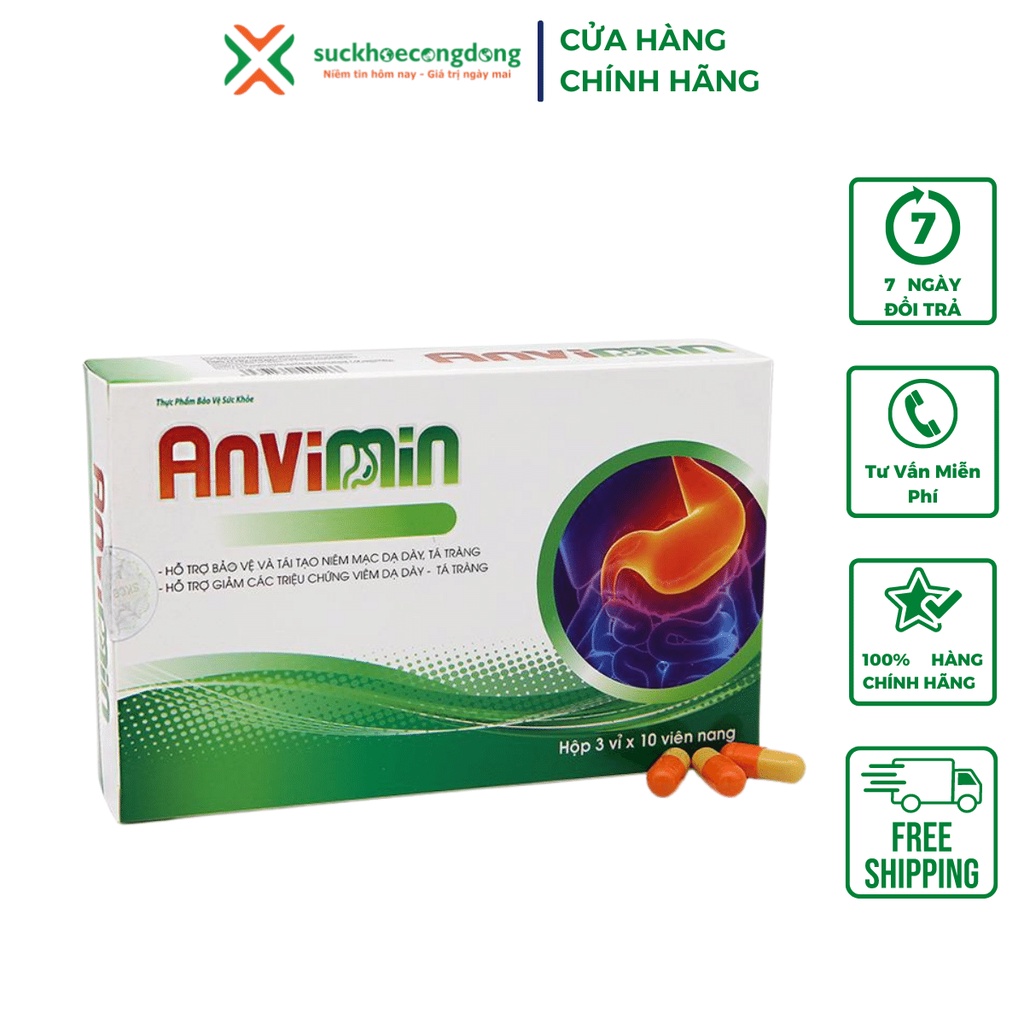 Viên dạ dày ANVIMIN (30 viên) - Hỗ trợ giảm viêm dạ dày, tá tràng, tái tạo niêm mạch dạ dày