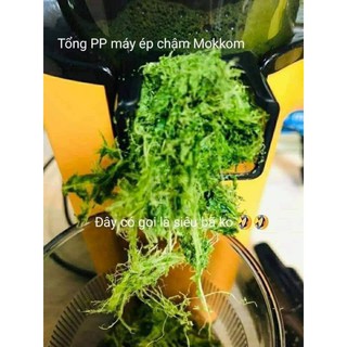 [CHÍNH HÃNG] Máy ép chậm mini Mokkom bảo hành 12 tháng