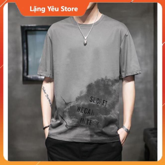 Áo thun tay lỡ nam form rộng, AB11