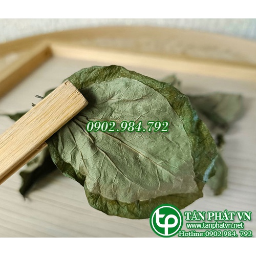 Lá lốt khô - thảo dược Tấn Phát
