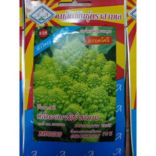 hạt giống súp lơ san hô xanh thái lan