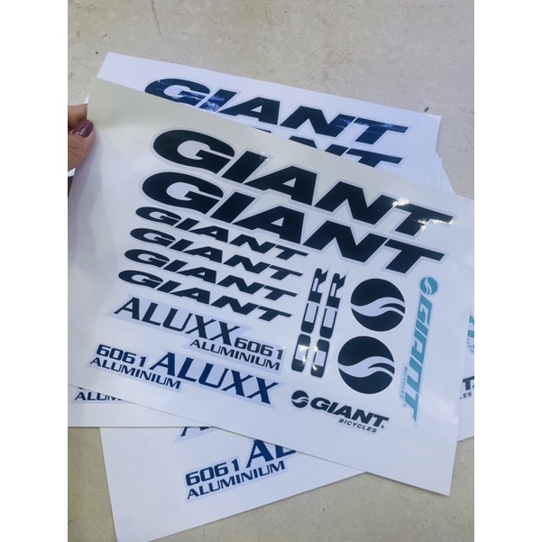 Decal dan chống nước hiệu Giant