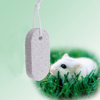 Đồ chơi đá mài răng cho thú cưng