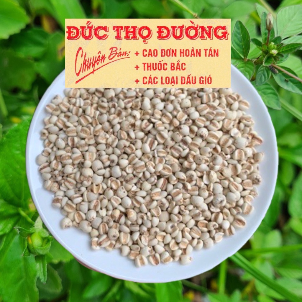 Ý dĩ - hạt bo bo 500G