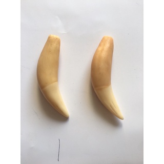 Nanh hổ giả N02
