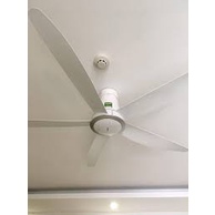 Quạt trần 5 cánh có điều khiển Panasonic F-60TDN chính hãng