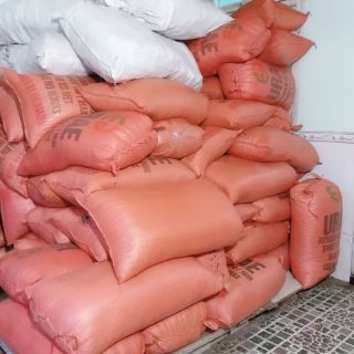 Hạt mắc mật khô 500g