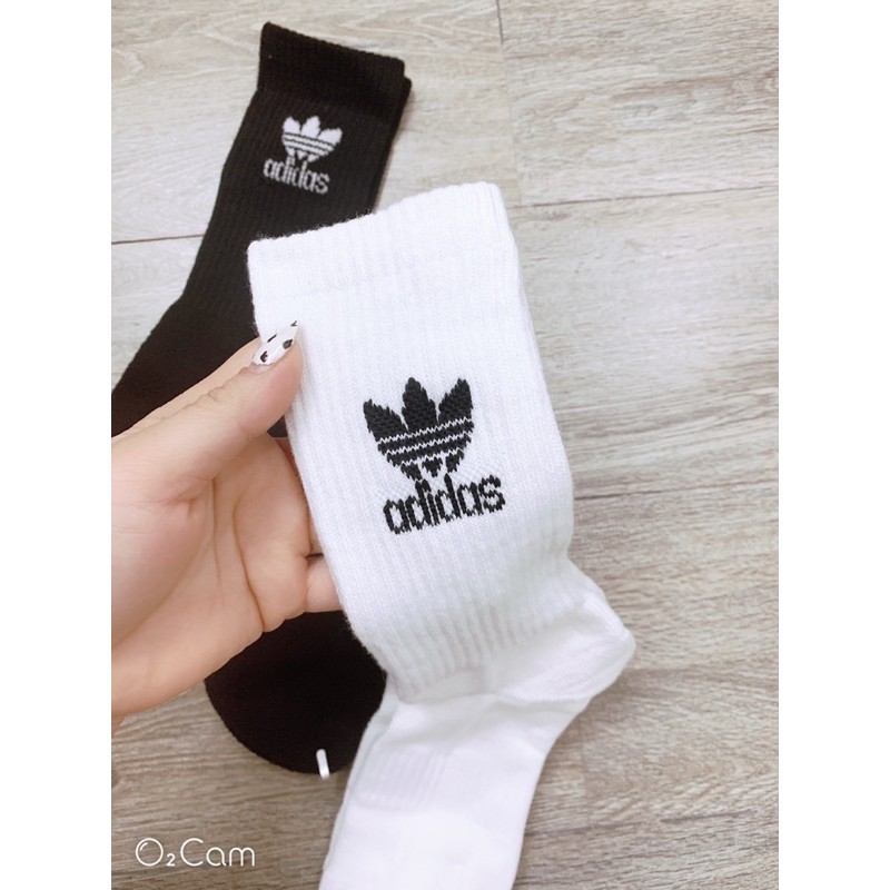 Tất thể thao - adidas cao cổ - hàng xuất dư