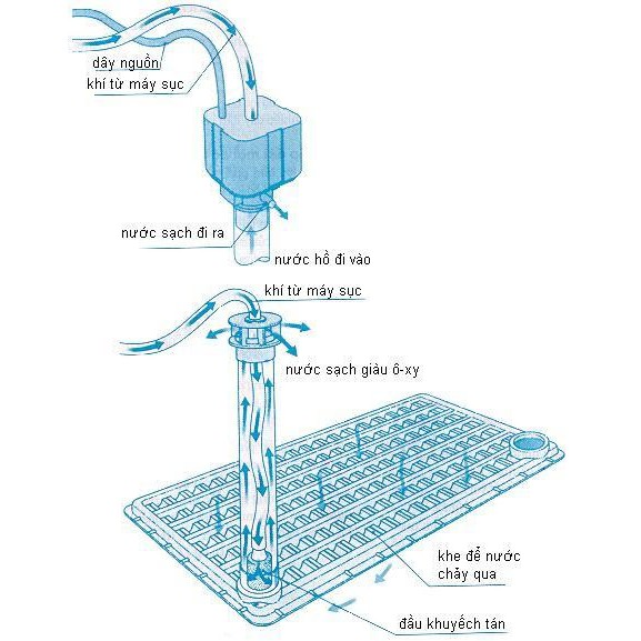 Tấm nhựa lót đáy bể lọc - tấm lọc đáy bể cá