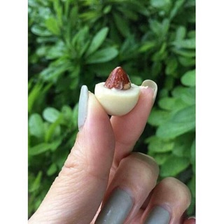 KẸO SOCOLA HẠNH NHÂN GRANDDIAN- NGA