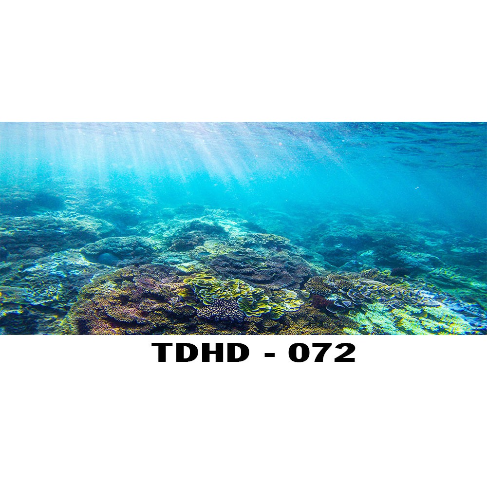 Tranh 3D bể cá mã TDHD-072 kt (60,80,90,100,1m2,1m5,1m6)