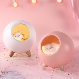 ❤️FREE SHIP❤️ Đèn Ngủ mèo con dễ thương (hàng có sẵn)