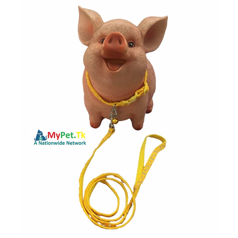 Combo Dây Dắt và Vòng Cổ Vải Dù Nhiều Màu Cho Chó Mèo Dưới 4Kg