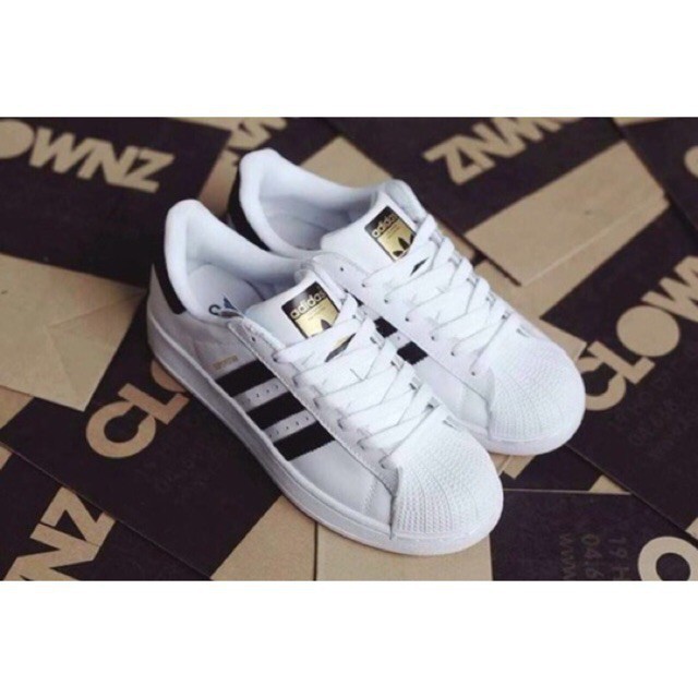 Giày Thể Thao Sneaker superstar 80s black n wthite ( mũi sò đen trắng)_Giaysneaker