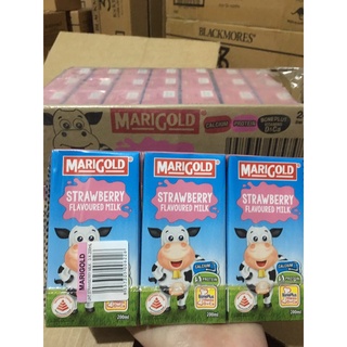 Sữa tươi Marigold Singapore 200ml