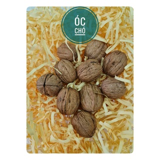Óc chó Chile