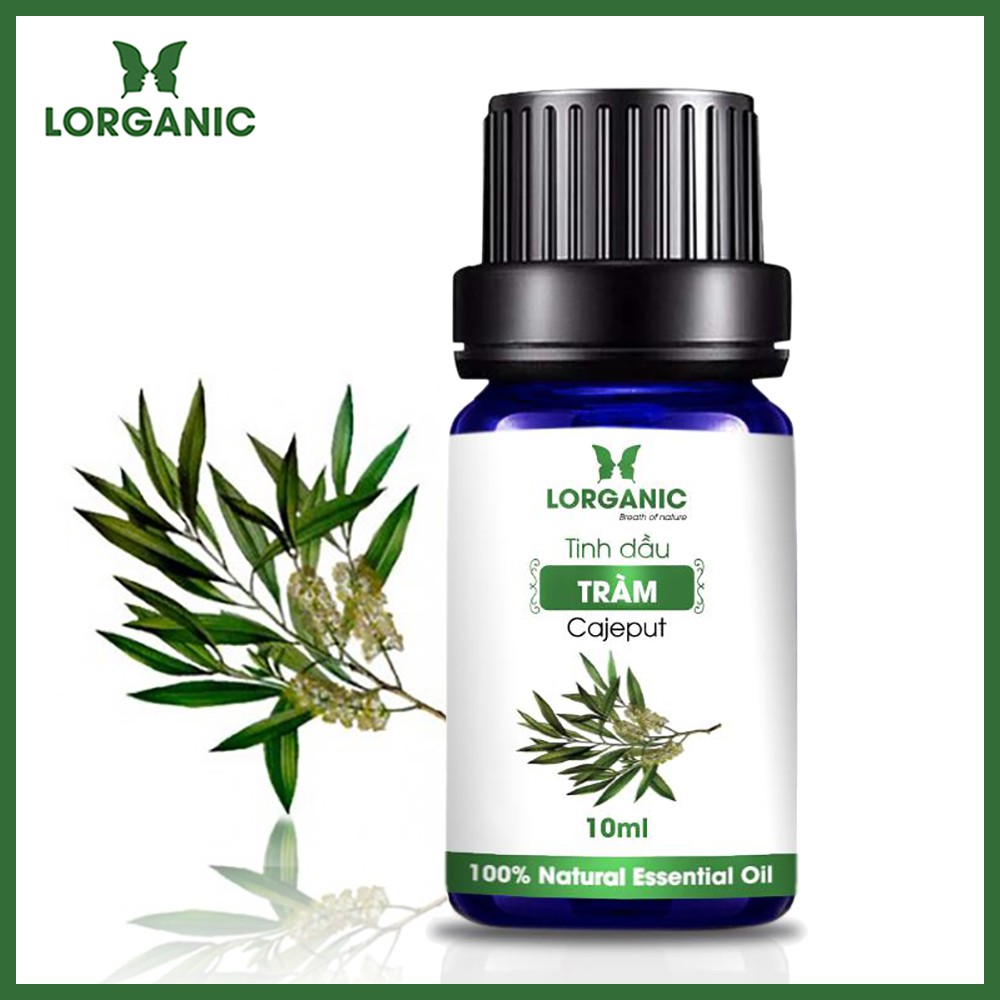 [FREE SHIP 50K] Tinh dầu tràm nguyên chất Lorganic Cajeput 100% Natural Essential Oil 10ml