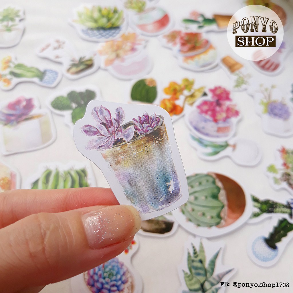 🌵 Hộp 50 sticker nhãn dán Chậu sen đá trang trí Scrapbook