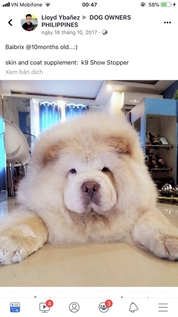 Bột dưỡng lông K9 ShowStopper cho chó giúp giảm rụng lông ;dưỡng dài và làm mượt lông 454gr