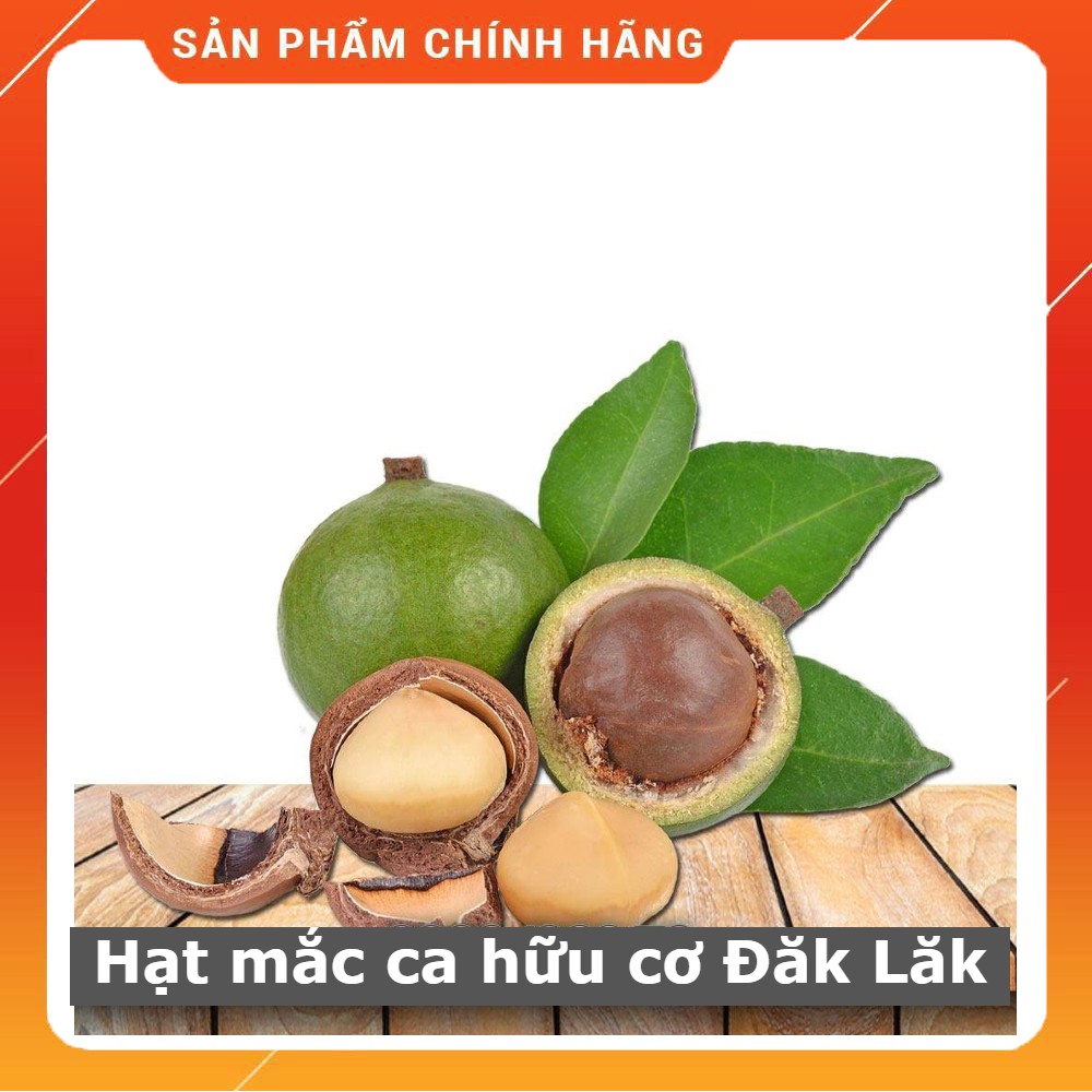 Hạt Macca ĐăkLăk [size đại loại 1] Sạch, Chất Lượng [1/2kg] tặng kèm dụng cụ tách hạt | BigBuy360 - bigbuy360.vn