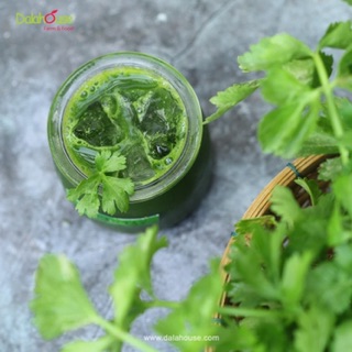 Combo detox mùa hè Dalahouse