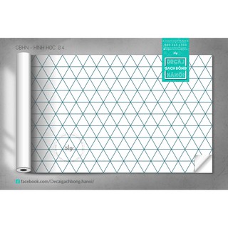 DECAL  TRANG TRÍ SIÊU ĐƠN GIẢN - 𝐇𝐨̣𝐚 𝐭𝐢𝐞̂́𝐭 𝐇𝐢̀𝐧𝐡 𝐇𝐨̣𝐜 - liền tấm 60x165cm