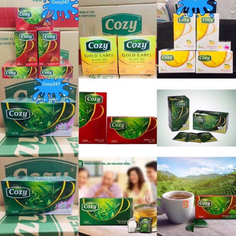 Trà Cozy túi lọc các Hương
