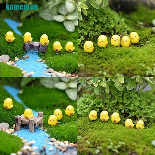Set 10 Mô Hình Chú Gà Mini Trang Trí Tiểu Cảnh