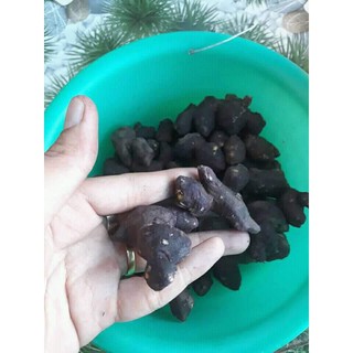 ngải nàng thâm