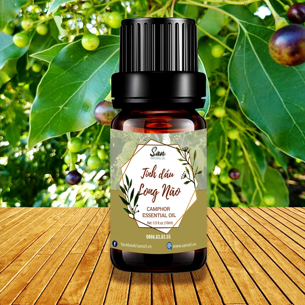 Tinh dầu long não