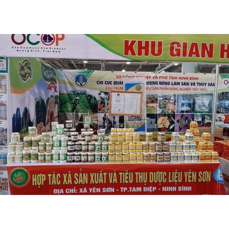Tinh bột nghệ vàng nguyên chất Yên Sơn 500gr - OCOP 3 sao- Hỗ trợ dạ dày, gan, làm mặt nạ - Siêu thị nông sản D2 Mart