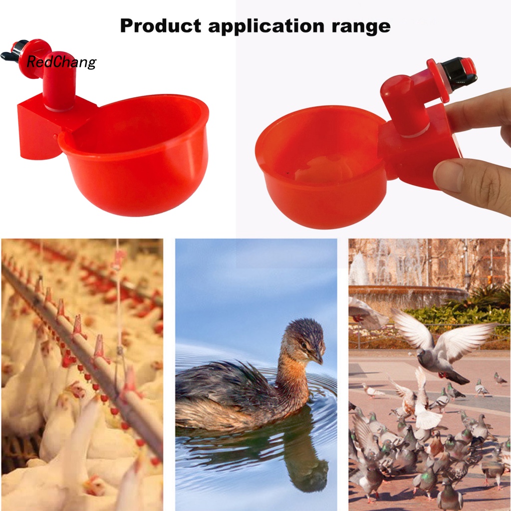 Tô Đựng Nước Uống Bằng Nhựa Hình Chú Gà Dễ Thương