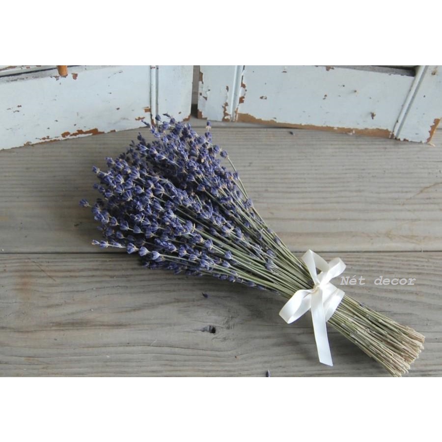 🍁Hoa khô Oải Hương trang trí phòng🍁 Bó Hoa Lavender thơm decor phòng🍁