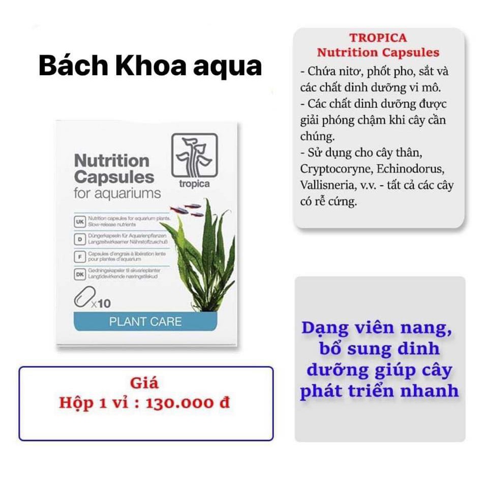 Phân nhét Tropica Nutrition Capsules bổ sung dinh dưỡng cho cây